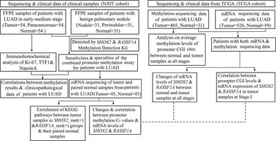 The Diagnostic Potential of SHOX2 and RASSF1A DNA Methylation in Early Lung Adenocarcinoma